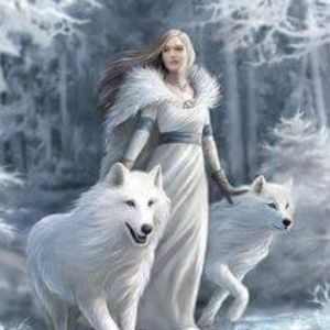 Meet your Posher, Karol